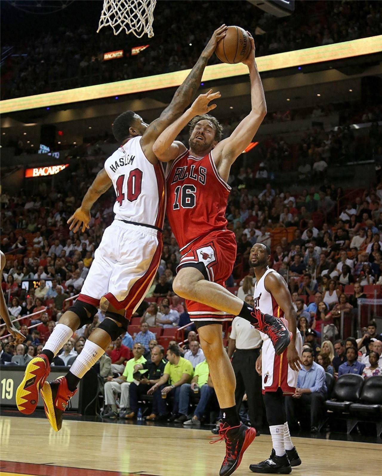 了一条可持 了一条可持