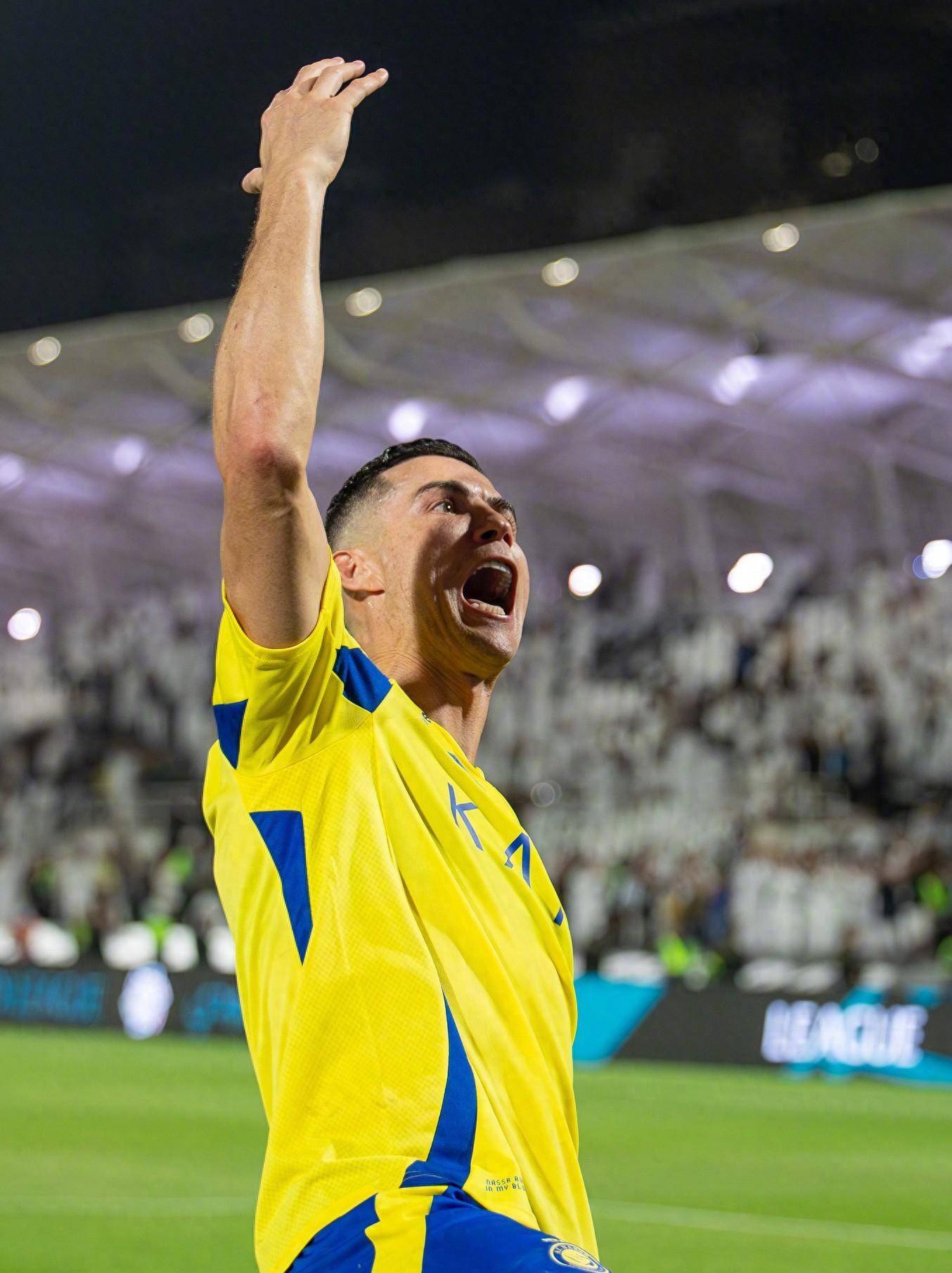 挑战的运动 挑战的运动