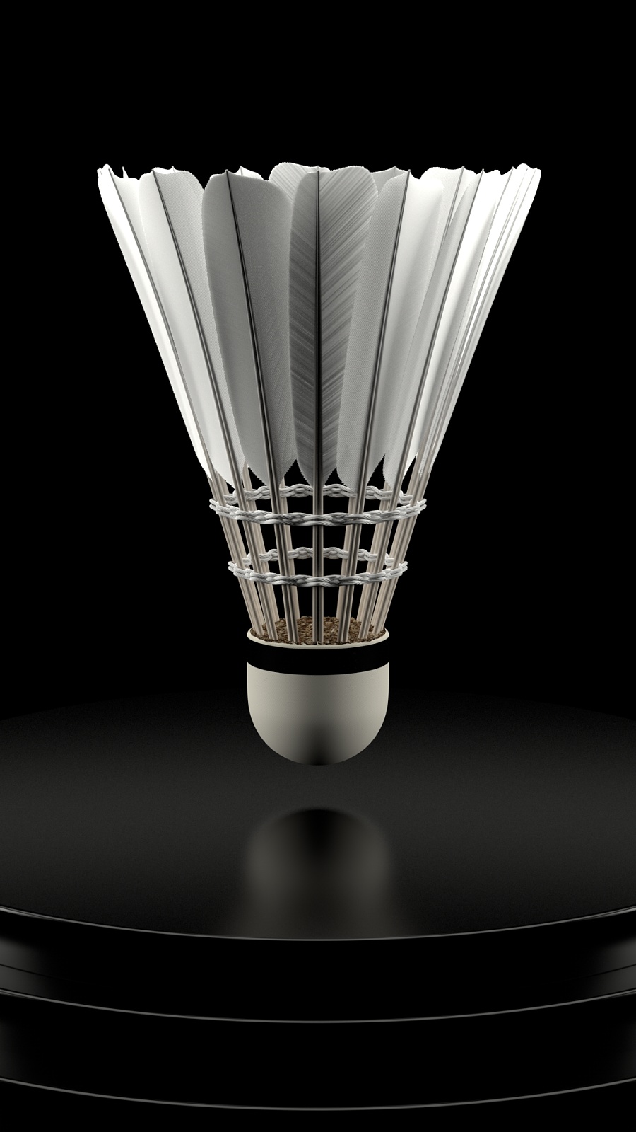 我们可以预 我们可以预